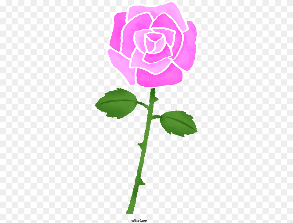 Flowers Garden Roses Drawing Color For, Flower, Plant, Rose, Person Free Transparent Png