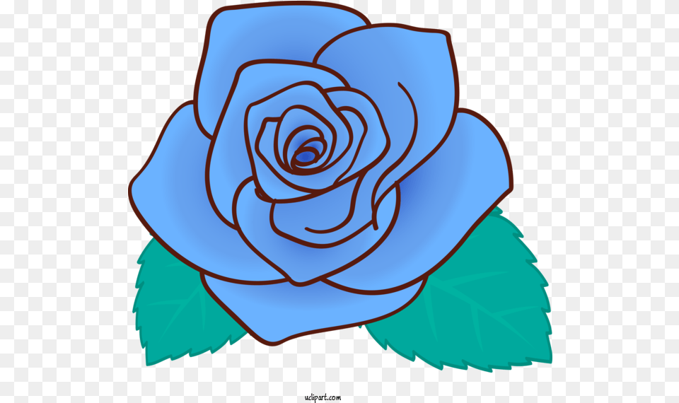 Transparent Flowers Rose Blue For Blue Blue Rose Cartoon, Flower, Plant Png