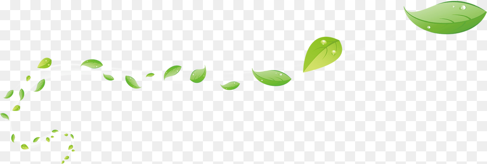 Flying Leaves, Plant, Vine, Leaf, Sprout Free Transparent Png