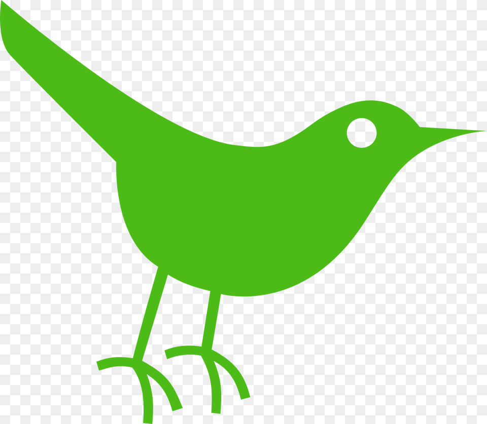 Transparent Follow Me On Twitter Bird Icon Download, Green, Animal, Blackbird, Wren Free Png