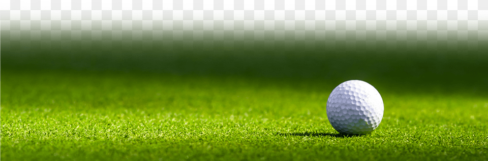Transparent Footer Clipart Golf Footer, Grass, Plant, Ball, Golf Ball Free Png Download