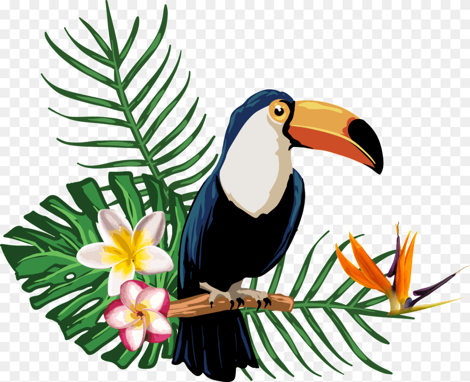 Transparent For Tropical Plant Animals Free Download, Animal, Beak, Bird, Flower Png Image