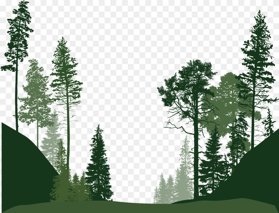 Transparent Forest Clipart Forest Trees Silhouette, Conifer, Fir, Vegetation, Tree Free Png
