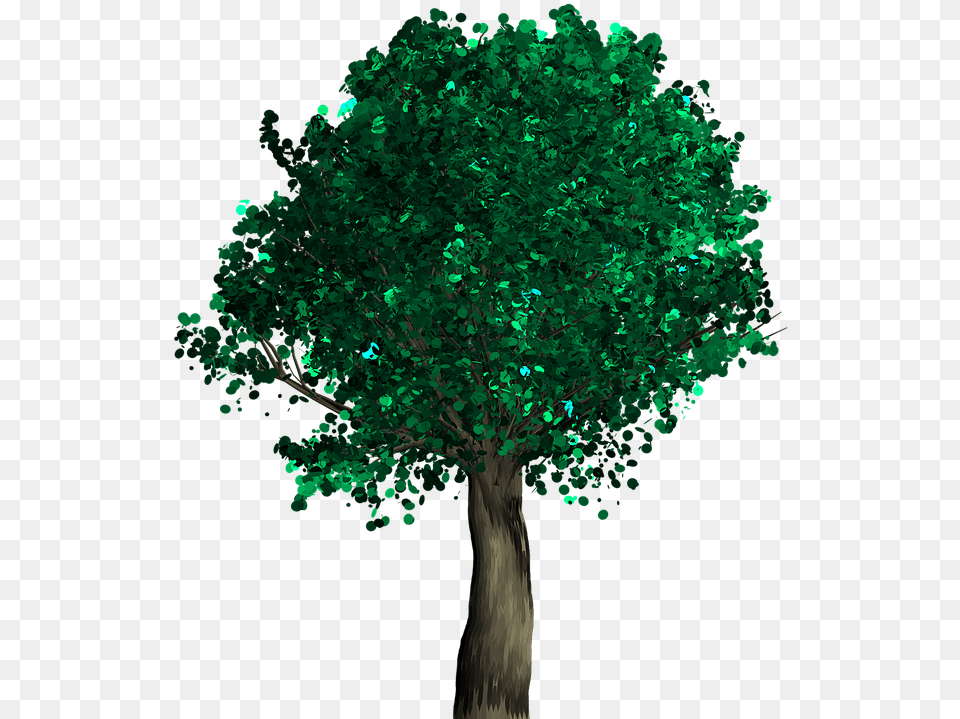 Transparent Forest Path Clipart Deko Baum 44 Cm, Plant, Tree, Accessories, Emerald Free Png