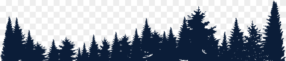 Forest Silhouette, Fir, Pine, Plant, Tree Free Transparent Png