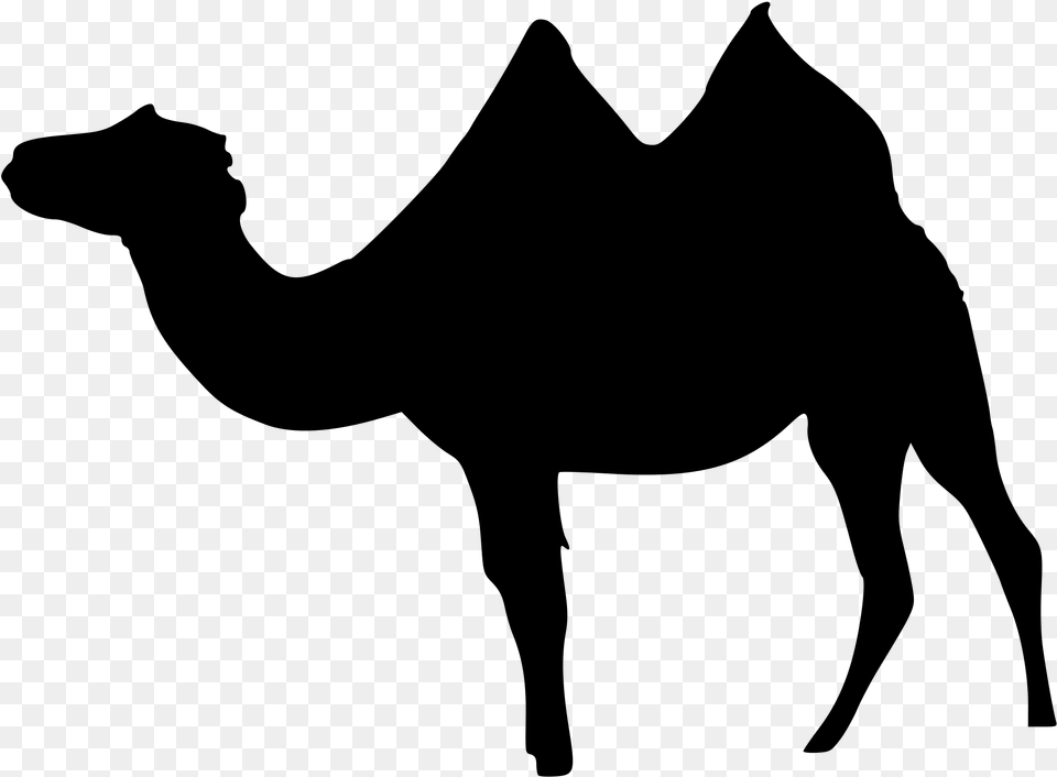 Transparent Fox Silhouette Bactrian Camel, Gray Png Image