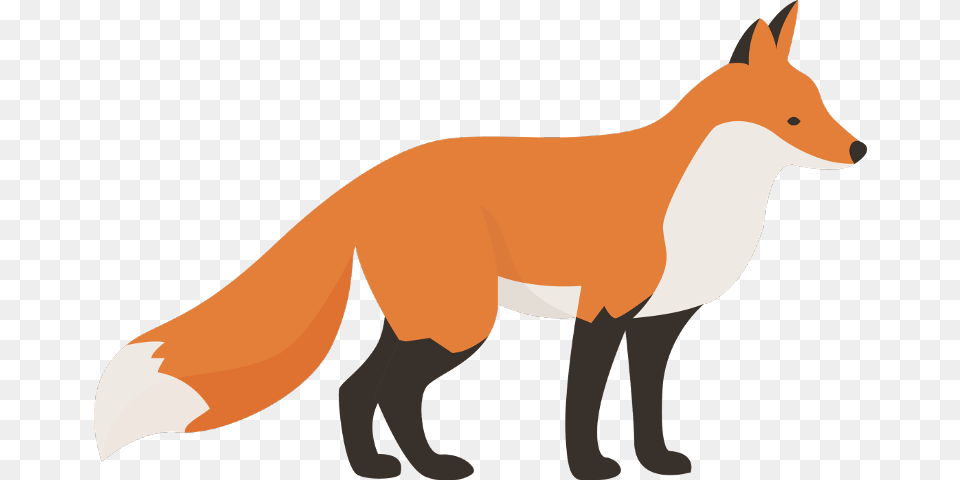 Transparent Foxes Clipart Animales Ilustracion, Animal, Canine, Fox, Mammal Png Image