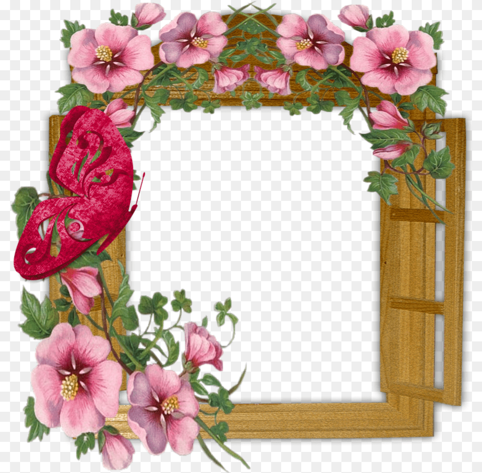 Frame Flowers, Flower, Plant, Geranium, Rose Free Transparent Png