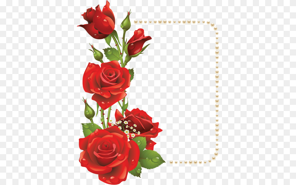 Transparent Frames Large Transparent Frame With Red Roses, Flower, Plant, Rose, Flower Arrangement Free Png
