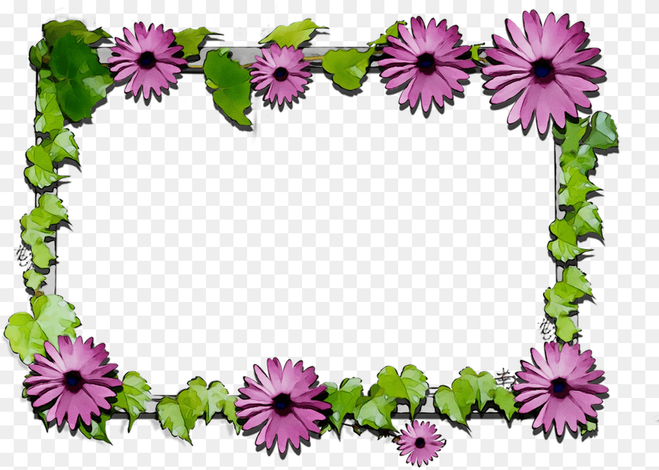 Clipart Flowers African Daisy, Flower, Petal, Plant, Purple Free Transparent Png