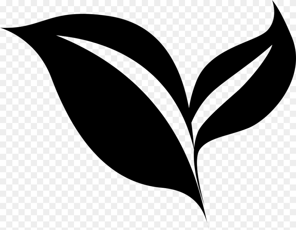 Transparent Leaf Transparent Background Tea Leaf Vector, Stencil, Plant, Logo Free Png