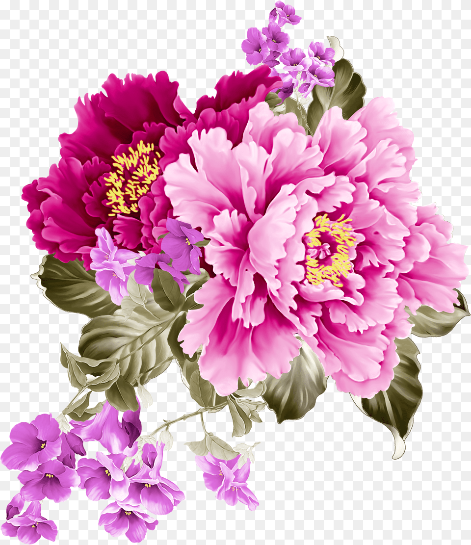 Transparent Free Peony Clipart Pink And Purple Flowers Png Image