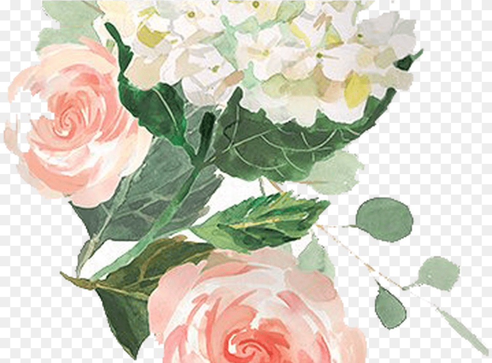 Transparent Free Watercolor Flower, Plant, Rose, Art, Graphics Png