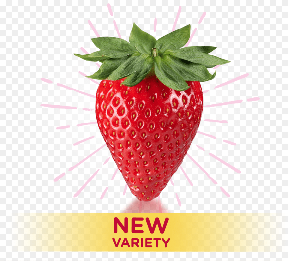 Transparent Fresas Strawberry, Berry, Food, Fruit, Plant Free Png