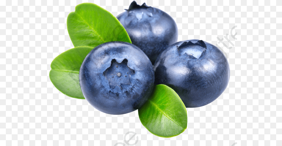 Transparent Fresh Blueberries Format With Blueberries, Produce, Berry, Blueberry, Food Png