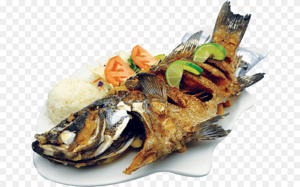 Fried Fish, Food, Food Presentation, Meal, Lunch Free Transparent Png