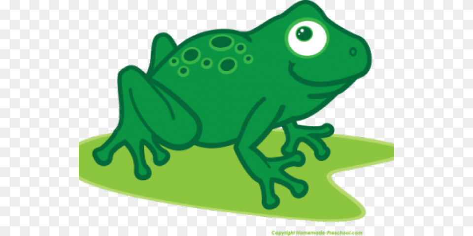 Transparent Frog Clipart Clip Art, Amphibian, Animal, Wildlife, Fish Free Png Download