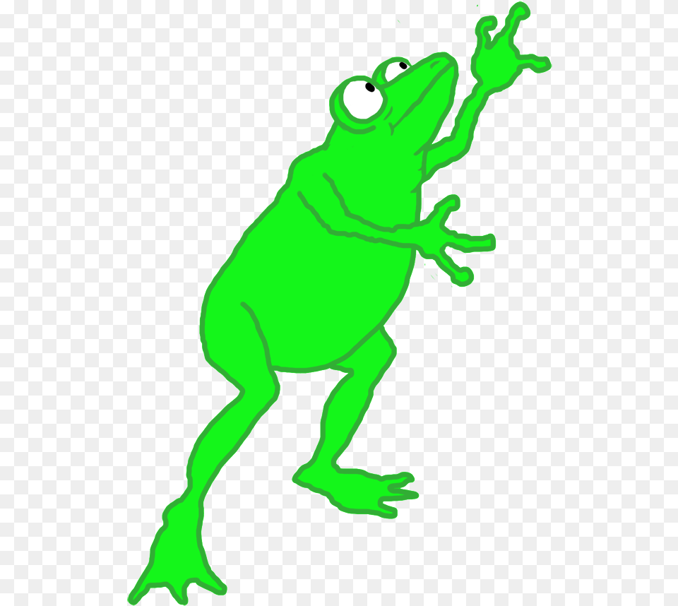 Transparent Frogs Clipart, Amphibian, Animal, Frog, Wildlife Free Png Download