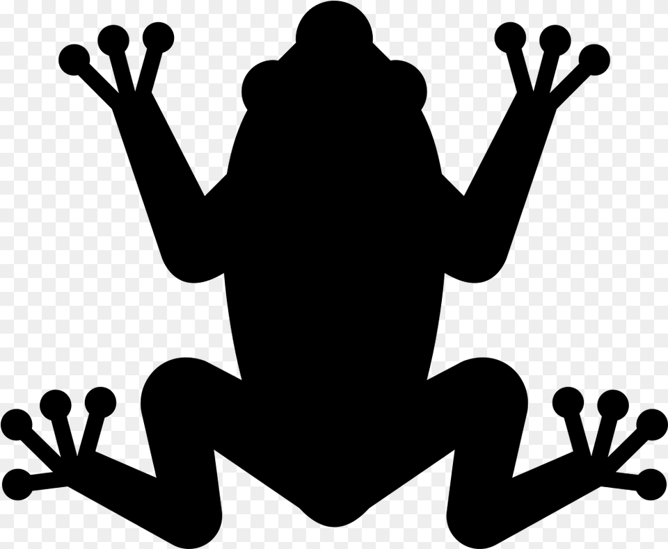 Transparent Frogs Mass Extinction Icon, Gray Free Png