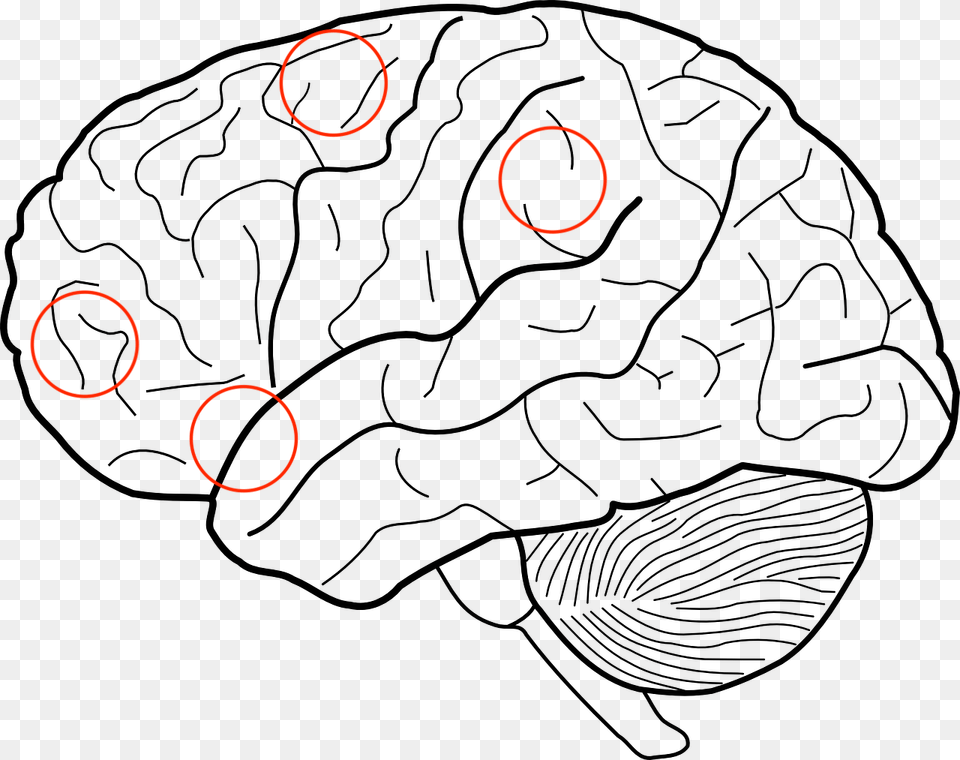 Transparent Frontal Lobe Clipart Brain Sketch, Astronomy, Eclipse Free Png