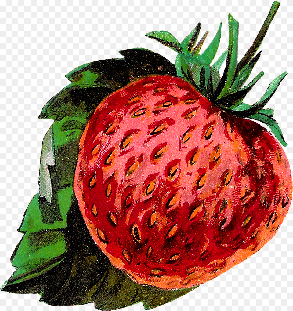 Fruit Clipart, Berry, Food, Plant, Produce Free Transparent Png