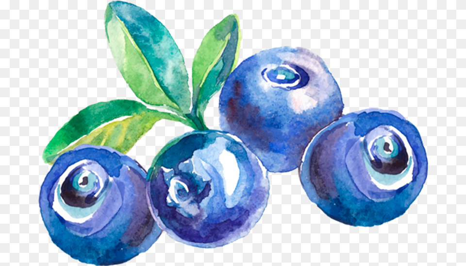Transparent Fruta Custom Blueberry Wine Labels, Berry, Food, Fruit, Plant Free Png Download