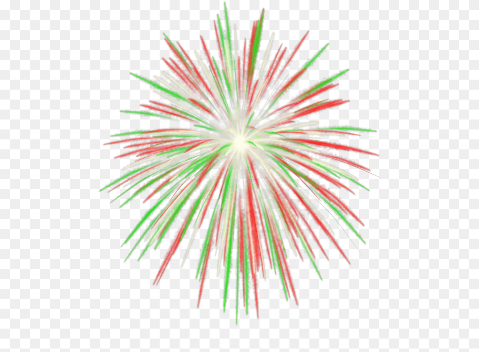 Transparent Fuegos Artificiales Feu D Artifice Transparent, Fireworks, Plant Png