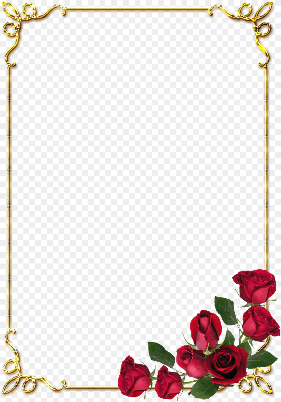 Fundo Rosa Flower Rose, Plant, Flower Arrangement Free Transparent Png