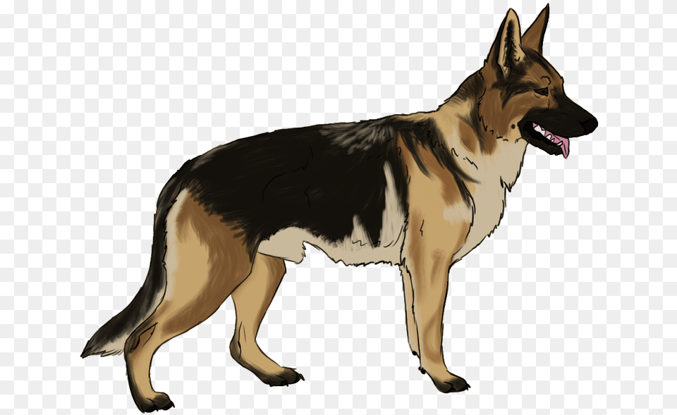 Funny Dog German Shepherd Dog Clipart, Animal, Canine, German Shepherd, Mammal Free Transparent Png