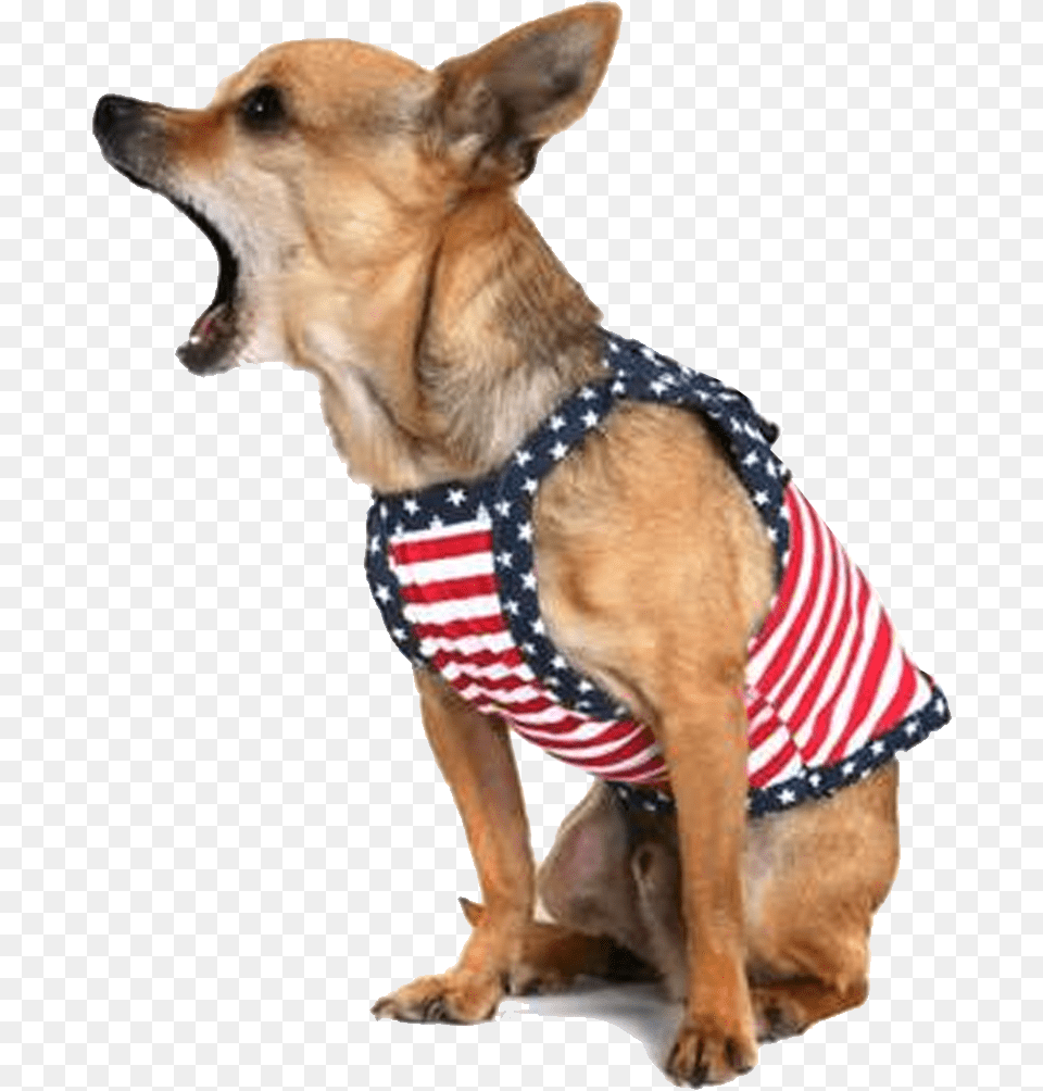 Transparent Funny Dog Stop Dog Barking, Animal, Canine, Pet, Mammal Free Png Download