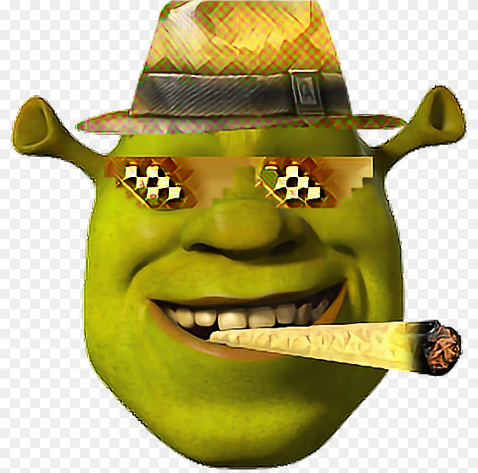 Transparent Funny Faces Clipart Shrek Meme, Clothing, Hat, Baby, Person Png