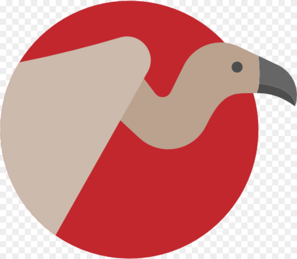 Transparent Garbage Vulture Icon, Animal, Beak, Bird Png Image