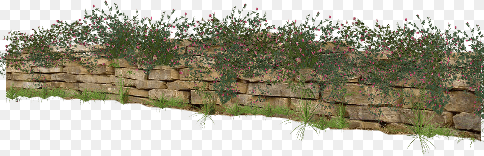 Transparent Garden Wall, Architecture, Plant, Moss, Grass Png