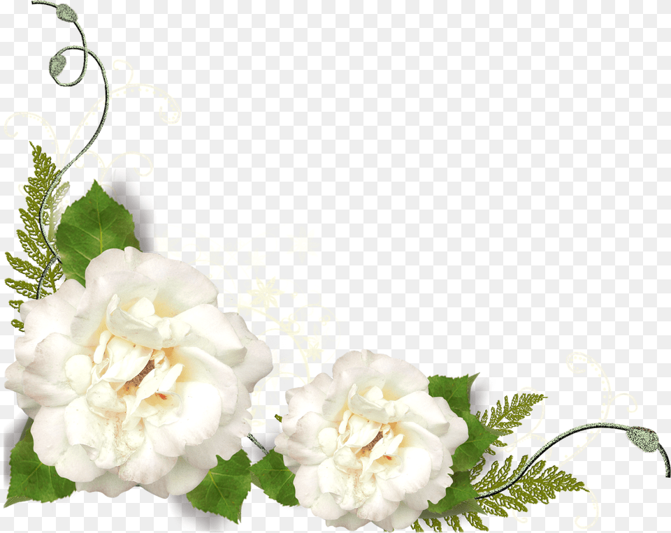 Gardenia White Flower Corner, Art, Floral Design, Flower Arrangement, Graphics Free Transparent Png