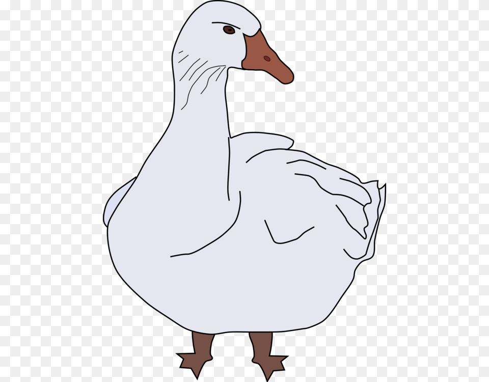 Transparent Geese Goose Clipart, Animal, Bird, Waterfowl, Person Free Png