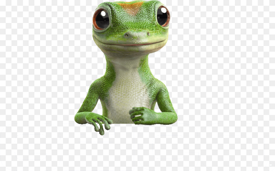 Geico Lizard Geico Insurance, Animal, Gecko, Reptile, Green Lizard Free Transparent Png