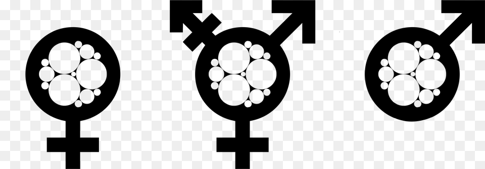 Transparent Gender Symbols Transgender Flag, Gray Png