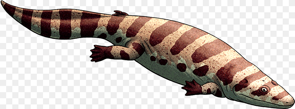 Transparent Giant Monster Gila Monster, Animal, Sea Life, Fish Free Png