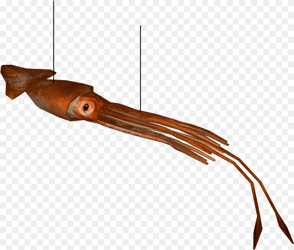 Transparent Giant Squid Rifle, Seafood, Food, Animal, Sea Life Free Png