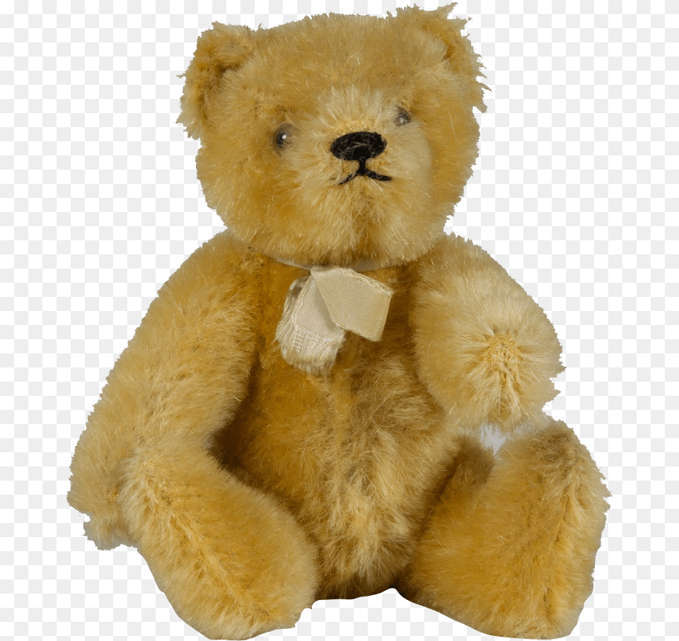 Transparent Gift Boxes For Teddy Bear Teddy Bear, Teddy Bear, Toy Png