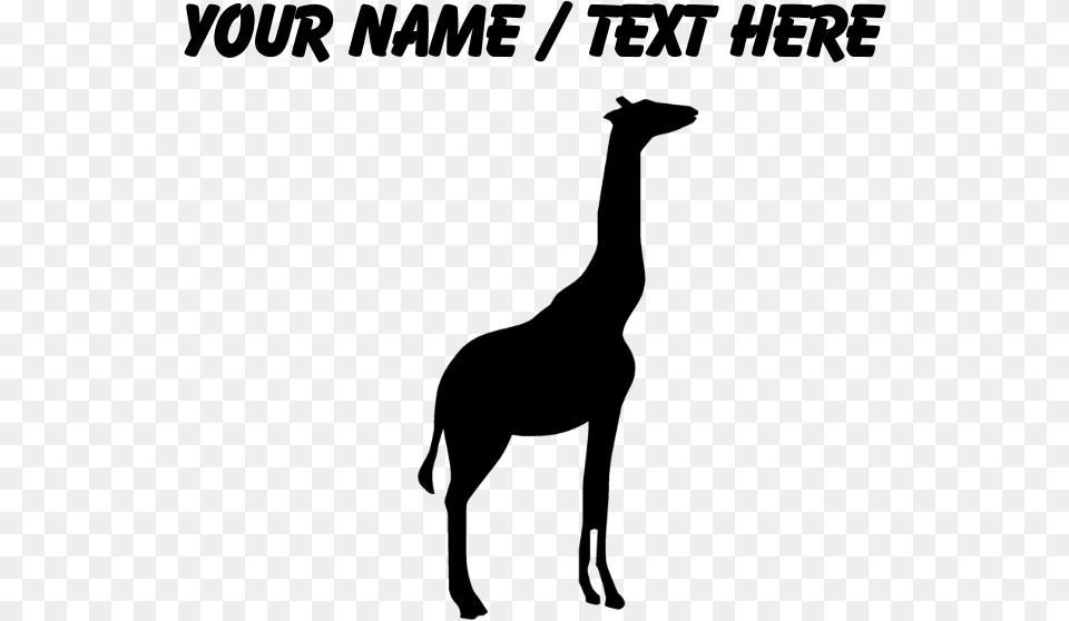 Transparent Giraffe Silhouette Giraffe, Gray Free Png Download