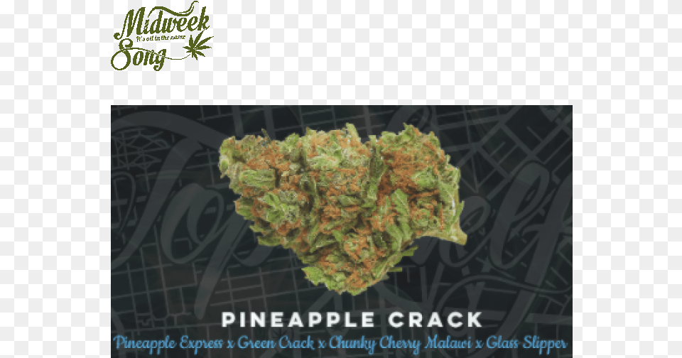 Glass Crack, Plant, Weed Free Transparent Png