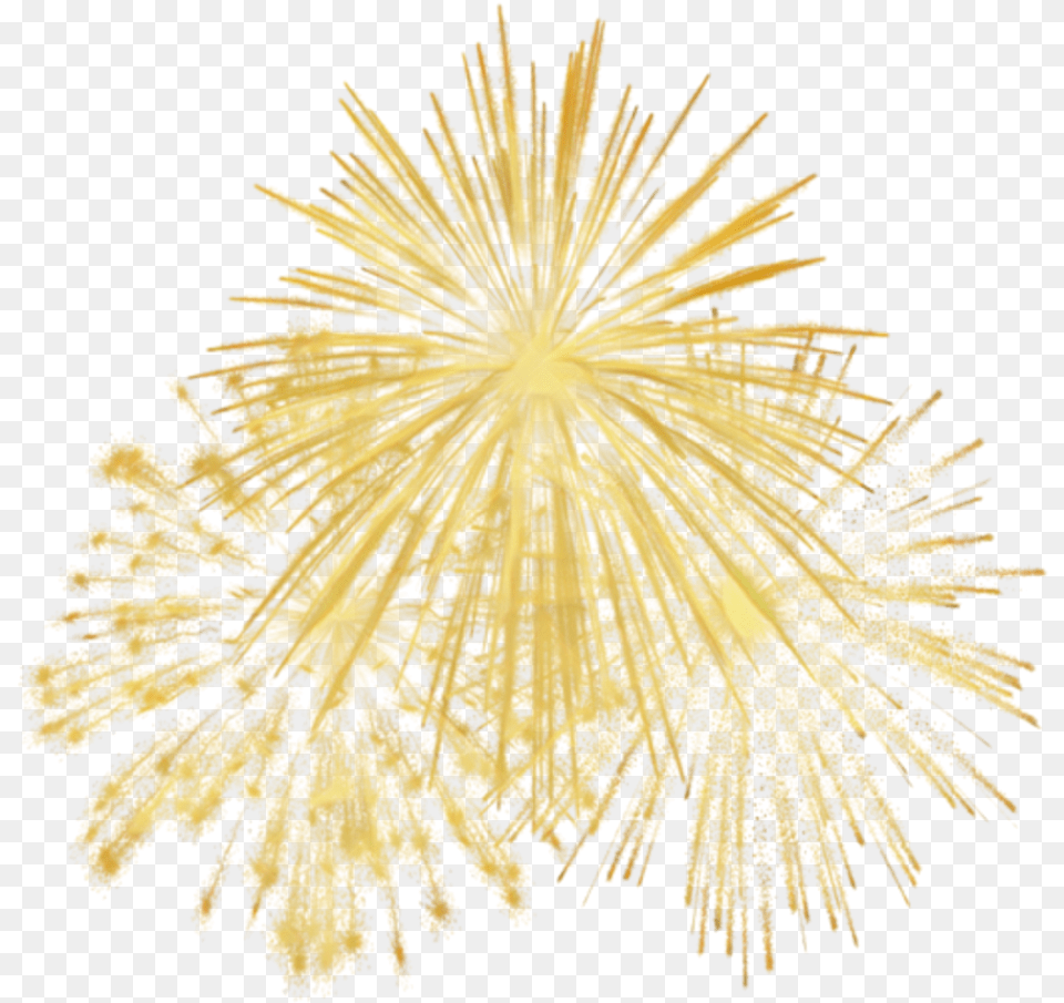 Transparent Gold Fireworks Gold Fireworks Transparent, Plant Free Png Download