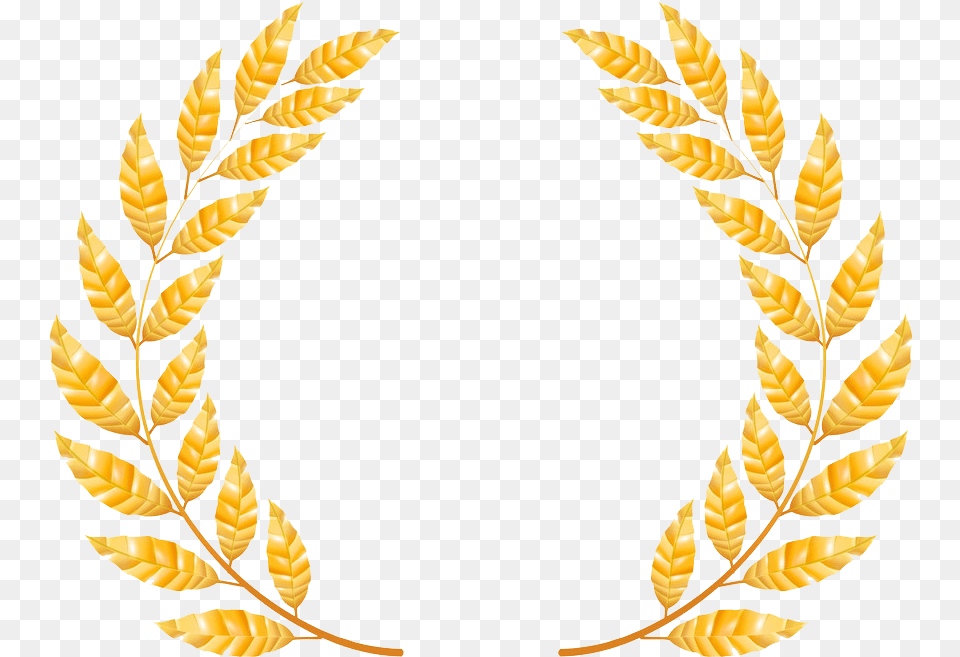 Transparent Gold Laurel Wreath Cevada Desenho, Pattern, Plant, Person Free Png Download