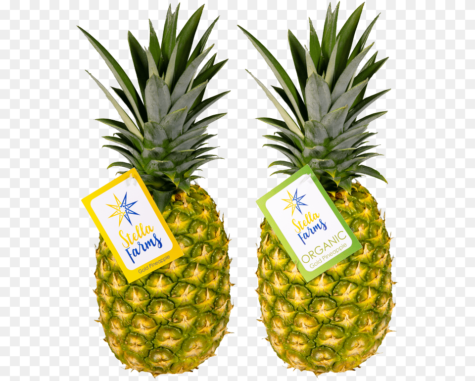 Transparent Gold Pineapple, Food, Fruit, Plant, Produce Png Image