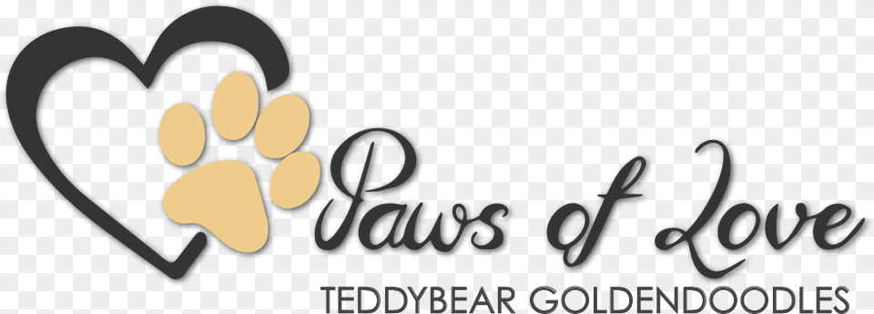 Transparent Golden Doodle Graphic Design, Logo Png