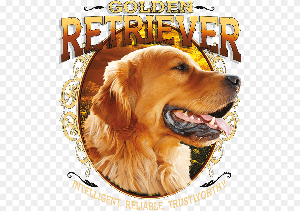 Transparent Golden Retriever Golden Retriever Dog Hd Mobile, Animal, Canine, Golden Retriever, Mammal Png Image