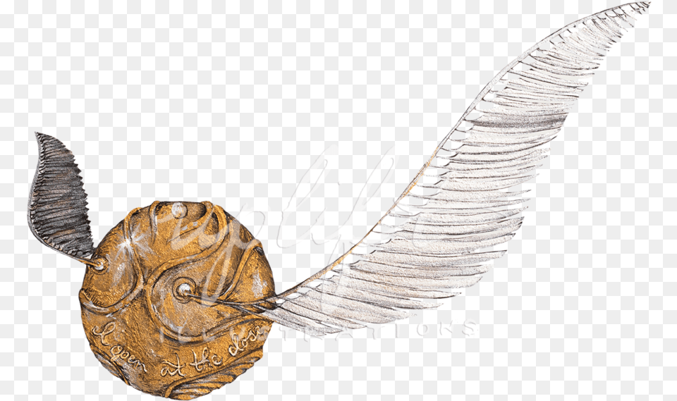 Transparent Golden Snitch Golden Snitch, Accessories, Bronze, Jewelry, Animal Free Png Download