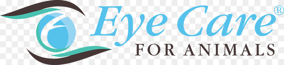 Google Eyes Eye Care For Animals, Logo, Text, Outdoors, Blade Free Transparent Png