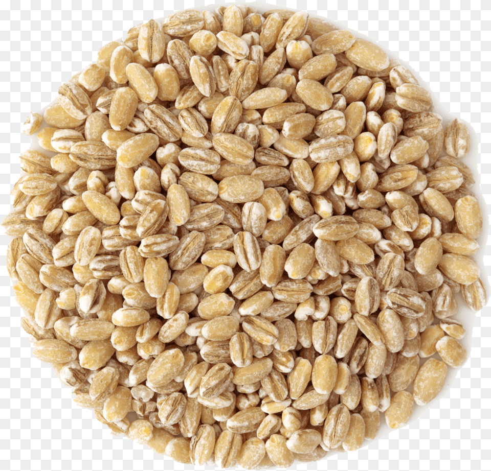 Transparent Grain Barley, Food, Produce, Wheat, Bread Free Png Download